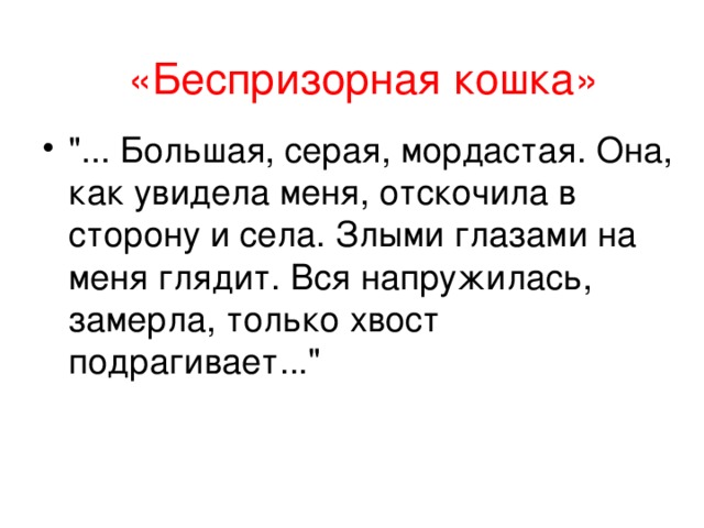 «Беспризорная кошка»