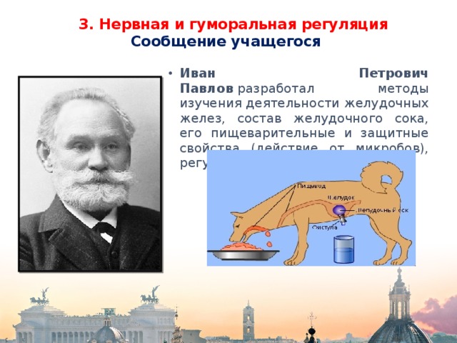 Краткая биография павловой. Павлов Иван Петрович Родина. Иван Петрович Павлов краткое сообщение. Иван Петрович Павлов проект 3 класс. Павлов Иван Петрович биография.