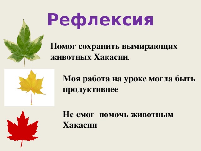 Не смог помочь животным Хакасии Рефлексия Помог сохранить вымирающих животных Хакасии . Моя работа на уроке могла быть продуктивнее 