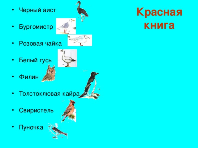 Красная книга