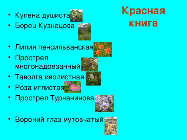 Красная книга