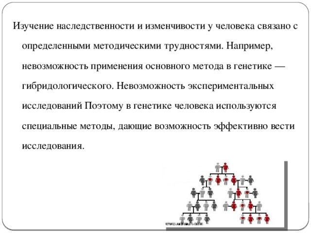 Методы изучения наследственности человека презентация 10 класс