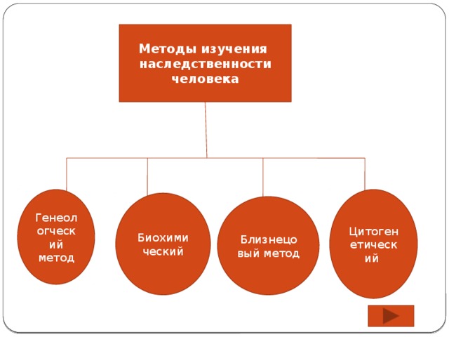 Исследование наследственности. Методы исследования наследственности. Методы изучения наследственности человека. Метод изучения наследственности человека. Биология методы изучения наследственности человека.