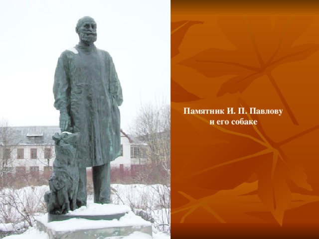 Памятник И. П. Павлову и его собаке