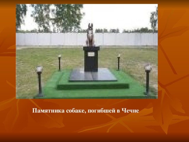 Памятника собаке, погибшей в Чечне