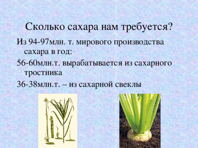 Сколько сахара нам требуется? Из 94-97млн. т. мирового производства сахара в год: 56-60млн.т. вырабатывается из сахарного тростника 36-38млн.т. – из сахарной свеклы 