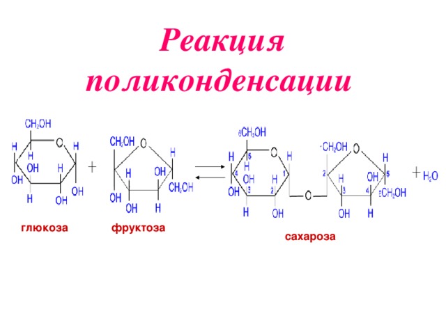 Фруктозы галактозы глюкозы сахарозы