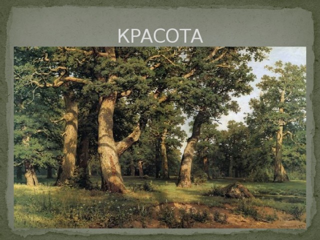 КРАСОТА