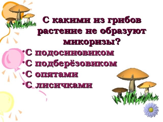 Грибы образующие микоризу. Грибы не образующие микоризу. Какие грибы не образуют микоризы. Какие грибы образуя микоризу..