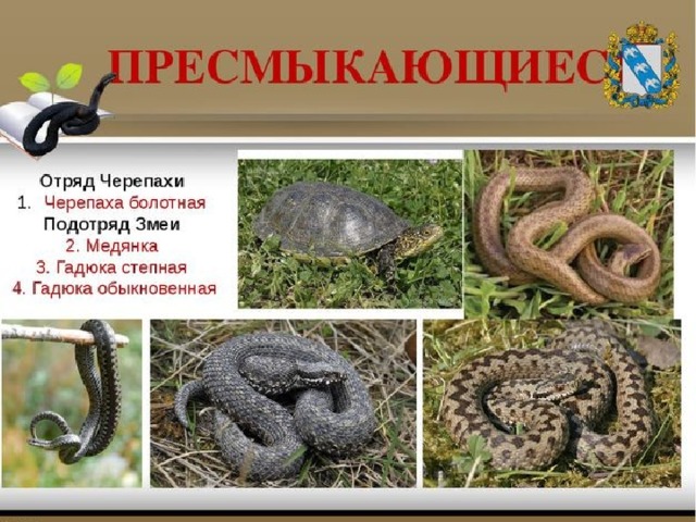 МИНЕСТЕРСТВО НАУКИ И ВЫСШЕГО ОБРАЗОВАНИЯ РОССИЙСКОЙ ФЕДЕРАЦИИ федеральное