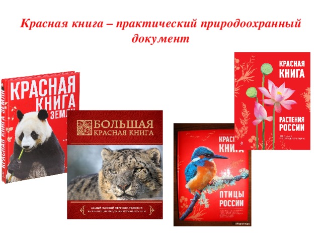 Курская красная книга. Экология красная книга. Красная книга в библиотеке. Люди в Красном книга. Красная книга Курской области обложка.