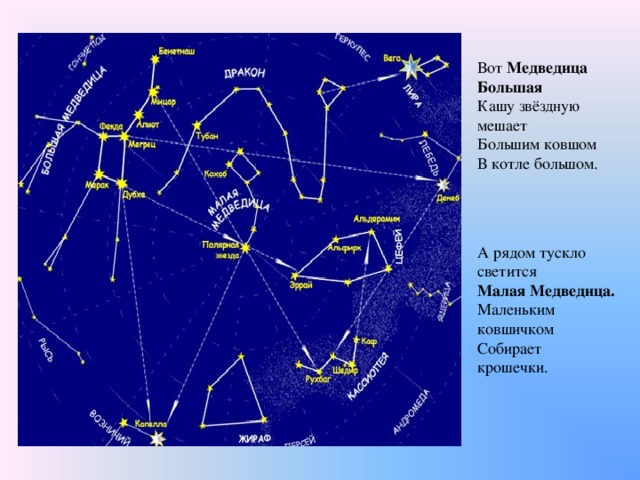 Большая и малая медведица звездная карта