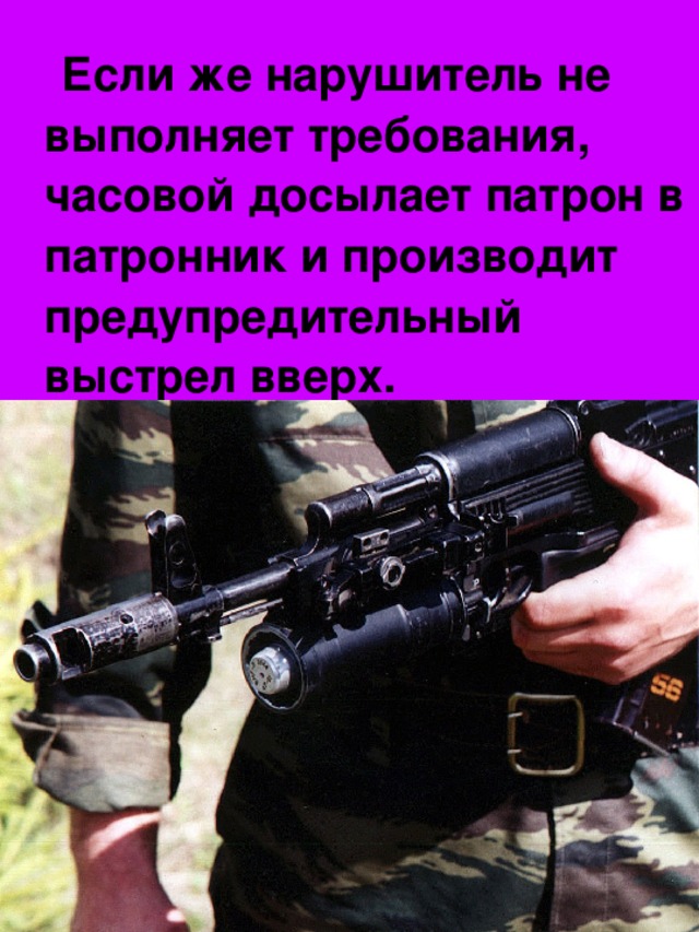 Патроны дорогие предупредительного выстрела не будет картинка