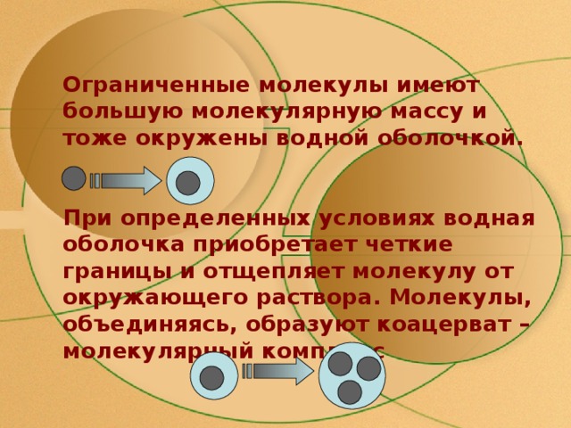 Ограниченные молекулы имеют большую молекулярную массу и тоже окружены водной оболочкой.  При определенных условиях водная оболочка приобретает четкие границы и отщепляет молекулу от окружающего раствора. Молекулы, объединяясь, образуют коацерват – молекулярный комплекс 