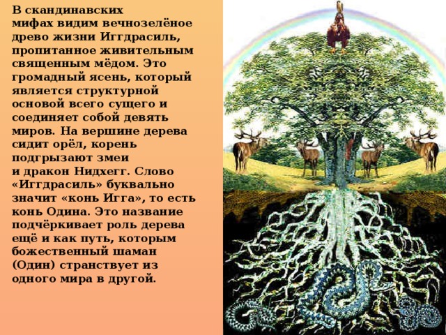  В скандинавских мифах видим вечнозелёное древо жизни Иггдрасиль, пропитанное живительным священным мёдом. Это громадный ясень, который является структурной основой всего сущего и соединяет собой девять миров. На вершине дерева сидит орёл, корень подгрызают змеи и дракон Нидхегг. Слово «Иггдрасиль» буквально значит «конь Игга», то есть конь Одина. Это название подчёркивает роль дерева ещё и как путь, которым божественный шаман (Один) странствует из одного мира в другой.    
