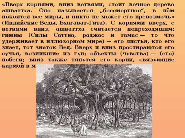 «Вверх корнями, вниз ветвями, стоит вечное дерево ашваттха. Оно называется „бессмертное“, в нём покоятся все миры, и никто не может его превозмочь» (Индийские Веды, Бхагават-Гита). С корнями вверх, с ветвями вниз, ашваттха считается непреходящим; гимны (Силы Саттва, раджас и тамас — то что удерживает в иллюзорном мире) — его листья, кто его знает, тот знаток Вед. Вверх и вниз простираются его сучья, возникшие из гун; объекты (чувства) — (его) побеги; вниз также тянутся его корни, связующие кармой в мире человеческом.   