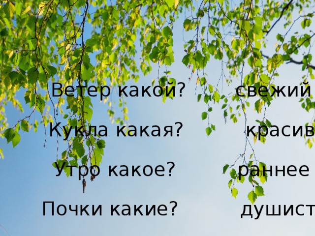 Ветер какой? свежий Кукла какая? красивая Утро какое? раннее Почки какие? душистые 