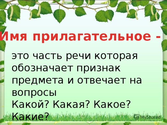 Имя прилагательное - это часть речи которая обозначает признак предмета и отвечает на вопросы Какой? Какая? Какое? Какие? 