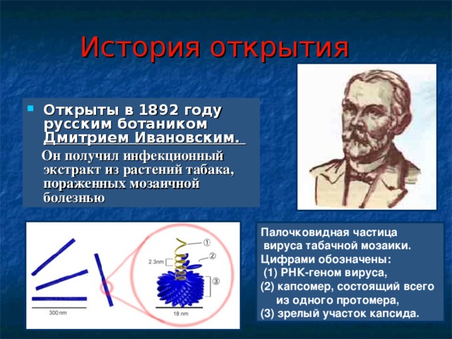 Вирусы были открыты в 1892 году. 1892 Ивановский открыл вирус табачной мозаики. История открытия индикаторов. Кто открыл в 1892 году открыл болезнь табачной мозаики.