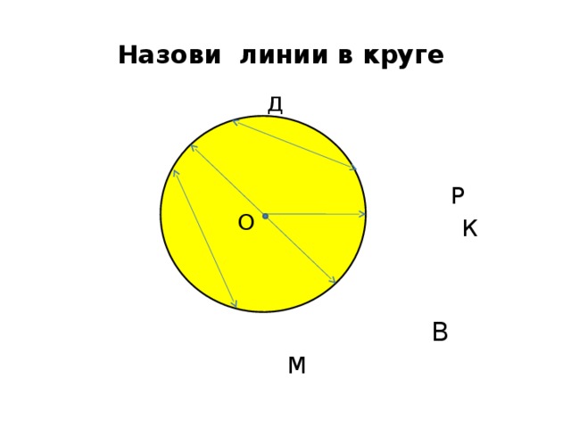 Как называются линии на диаграмме. Как называется линия в круге. Назвать линии в круге. Линии в окружности. Назови 3 линии в круге.