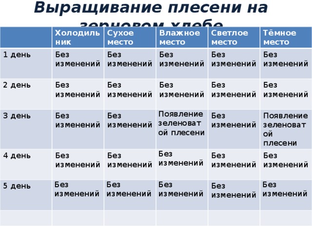 Выращивание плесени на зерновом хлебе Холодильник 1 день 2 день Сухое место Без изменений Влажное место 3 день Без изменений Без изменений Без изменений Без изменений Светлое место Без изменений 4 день Без изменений Без изменений Без изменений Тёмное место Без изменений 5 день Без изменений Появление зеленоватой плесени Без изменений Без изменений Без изменений Без изменений Без изменений Без изменений Без изменений Появление зеленоватой плесени Без изменений Без изменений Без изменений Без изменений Без изменений 