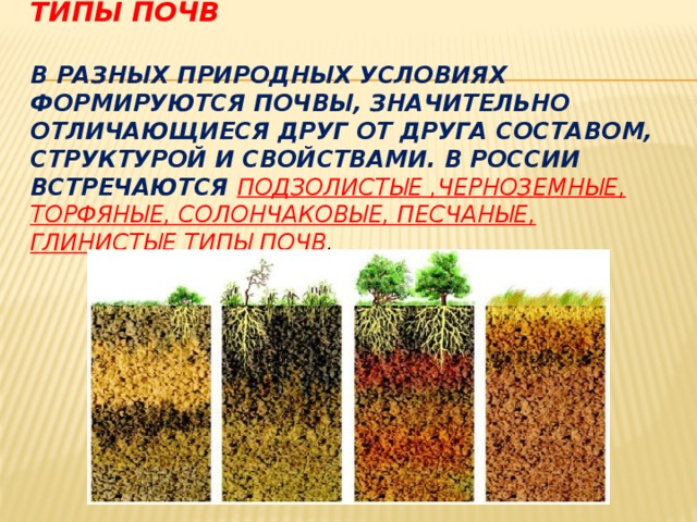 Много тепла плодородные почвы недостаточно влаги. Почвы России их состав. Типы почв. Породы почв. Почва типы почв.