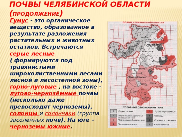 Карта лесов челябинской области