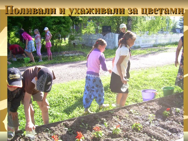 Поливали и ухаживали за цветами 