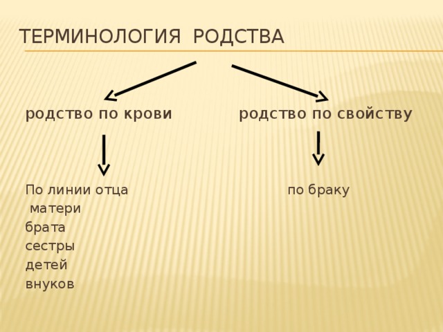 Виды родства и свойства. Терминология родства. Степень родства и свойства.