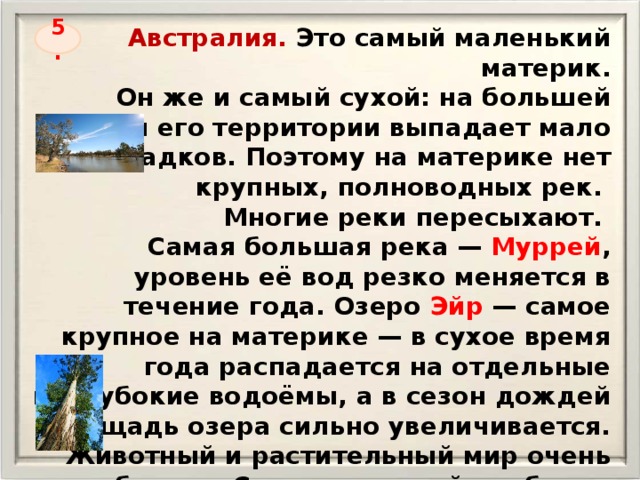 Австралия. Это самый маленький материк. Он же и самый сухой: на большей части его территории выпадает мало осадков. Поэтому на материке нет крупных, полноводных рек. Многие реки пересыхают. Самая большая река — Муррей , уровень её вод резко меняется в течение года. Озеро Эйр — самое крупное на материке — в сухое время года распадается на отдельные неглубокие водоёмы, а в сезон дождей площадь озера сильно увеличивается. Животный и растительный мир очень своеобразен. Среди растений наиболее известен эвкалипт ,  а среди животных — утконос, кенгуру, медведь коала . 5. 