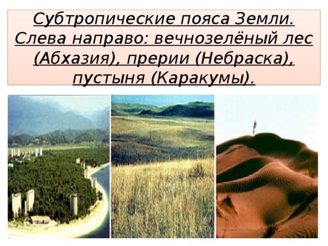 Субтропические пояса Земли. Слева направо: вечнозелёный лес (Абхазия), прерии (Небраска), пустыня (Каракумы). 