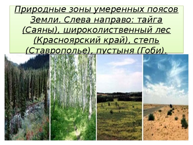 Природные зоны умеренных поясов Земли. Слева направо: тайга (Саяны), широколиственный лес (Красноярский край), степь (Ставрополье), пустыня (Гоби). 