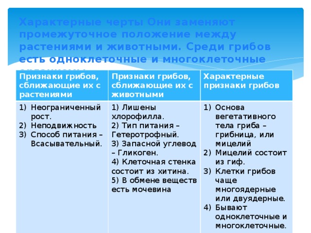 Характерные черты Они заменяют промежуточное положение между растениями и животными. Среди грибов есть одноклеточные и многоклеточные организмы Признаки грибов, сближающие их с растениями Признаки грибов, сближающие их с животными Неограниченный рост. Неподвижность Способ питания – Всасывательный. Характерные признаки грибов 1) Лишены хлорофилла. 2) Тип питания – Гетеротрофный. Основа вегетативного тела гриба – грибница, или мицелий Мицелий состоит из гиф. Клетки грибов чаще многоядерные или двуядерные. Бывают одноклеточные и многоклеточные. 3) Запасной углевод – Гликоген. 4) Клеточная стенка состоит из хитина. 5) В обмене веществ есть мочевина 