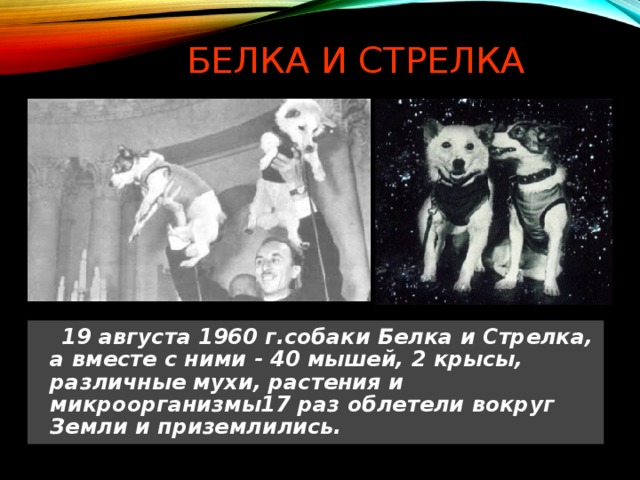 БЕЛКА И СТРЕЛКА  19 августа 1960 г.собаки Белка и Стрелка, а вместе с ними - 40 мышей, 2 крысы, различные мухи, растения и микроорганизмы17 раз облетели вокруг Земли и приземлились. 