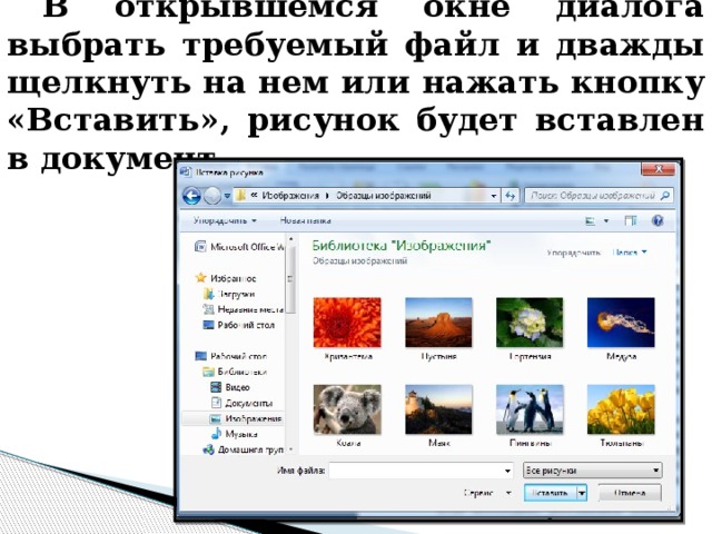 В открывшемся окне диалога выбрать требуемый файл и дважды щелкнуть на нем или нажать кнопку «Вставить», рисунок будет вставлен в документ. 