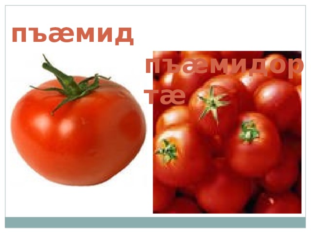 пъ æ мидор  пъ æ мидорт æ 