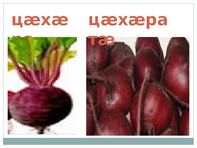 ц æ х æ ра ц æ х æ рат æ 