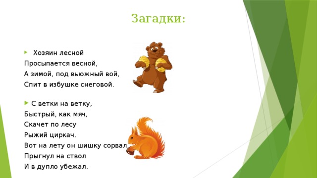 Загадки:  Хозяин лесной Просыпается весной, А зимой, под вьюжный вой, Спит в избушке снеговой. С ветки на ветку, Быстрый, как мяч, Скачет по лесу Рыжий циркач. Вот на лету он шишку сорвал, Прыгнул на ствол И в дупло убежал. 