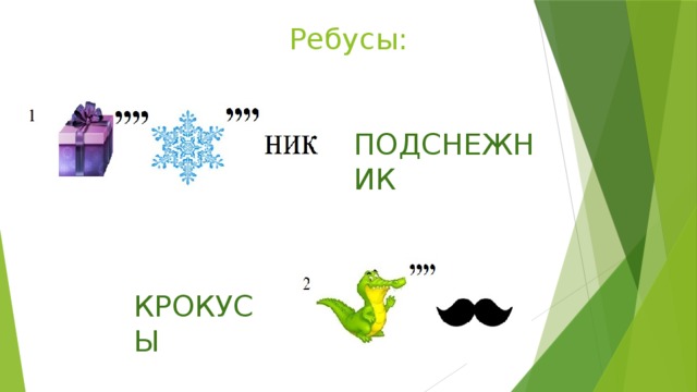 Ребусы природа презентация
