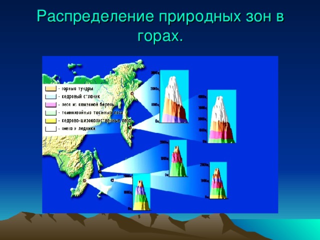 Схема высотной поясности гор дальнего востока