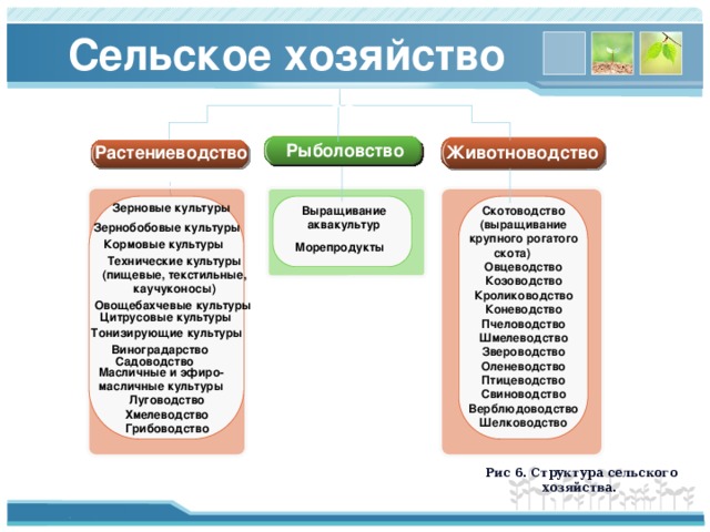 о Сельское хозяйство во Рыболовство Растениеводство Животноводство Зерновые культуры Скотоводство (выращивание крупного рогатого скота) Овцеводство Козоводство Кролиководство Коневодство Пчеловодство Шмелеводство Звероводство Оленеводство Птицеводство Свиноводство Верблюдоводство Шелководство Выращивание аквакультур Зернобобовые культуры Кормовые культуры Морепродукты Технические культуры (пищевые, текстильные, каучуконосы) Овощебахчевые культуры Цитрусовые культуры Тонизирующие культуры Виноградарство Садоводство Масличные и эфиро-масличные культуры Луговодство Хмелеводство Грибоводство Рис 6. Структура сельского хозяйства. 