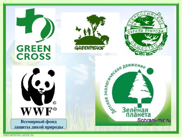 Всемирный фонд защиты дикой природы 