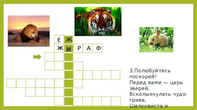 Кроссворд лев. Кроссворд про Льва. Кроссворд на тему Лев. Кроссворд на тему животные царь зверей. Кроссворд про тигра с ответами для детей.