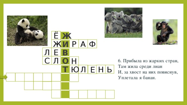 Кроссворд про животных. Кроссворд про животных жарких стран. Кроссворд про панду с ответами. Кроссворд для дошкольников животные жарких стран. Кроссворд для детей животные жарких стран.