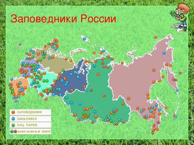 Карта с заповедниками россии