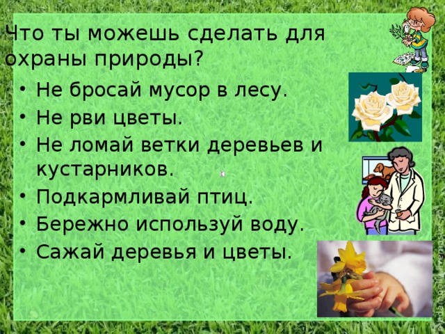 Что ты можешь сделать для охраны природы? Не бросай мусор в лесу. Не рви цветы. Не ломай ветки деревьев и кустарников. Подкармливай птиц. Бережно используй воду. Сажай деревья и цветы. 