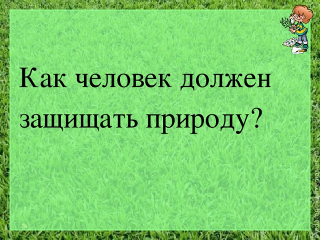 Как человек должен защищать природу? 