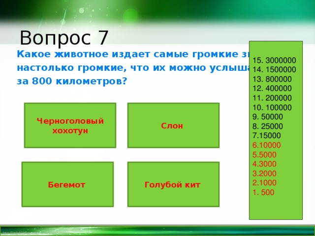 Вопрос 7 15. 3000000 14. 1500000 13. 800000 12. 400000 11. 200000 10. 100000 9. 50000 8. 25000 7.15000 6.10000 5.5000 4.3000 3.2000 2.1000 1. 500 Какое животное издает самые громкие звуки, настолько громкие, что их можно услышать за 800 километров? Черноголовый хохотун Слон Голубой кит Бегемот 