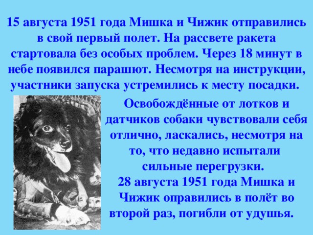 15 августа 1951 года Мишка и Чижик отправились в свой первый полет. На рассвете ракета стартовала без особых проблем. Через 18 минут в небе появился парашют. Несмотря на инструкции, участники запуска устремились к месту посадки. Освобождённые от лотков и датчиков собаки чувствовали себя отлично, ласкались, несмотря на то, что недавно испытали сильные перегрузки.  28 августа 1951 года Мишка и Чижик оправились в полёт во второй раз, погибли от удушья.    