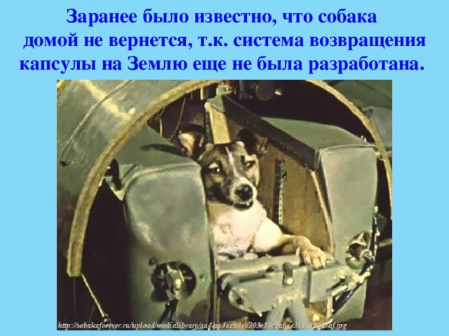 Заранее было известно, что собака домой не вернется, т.к. система возвращения капсулы на Землю еще не была разработана. 